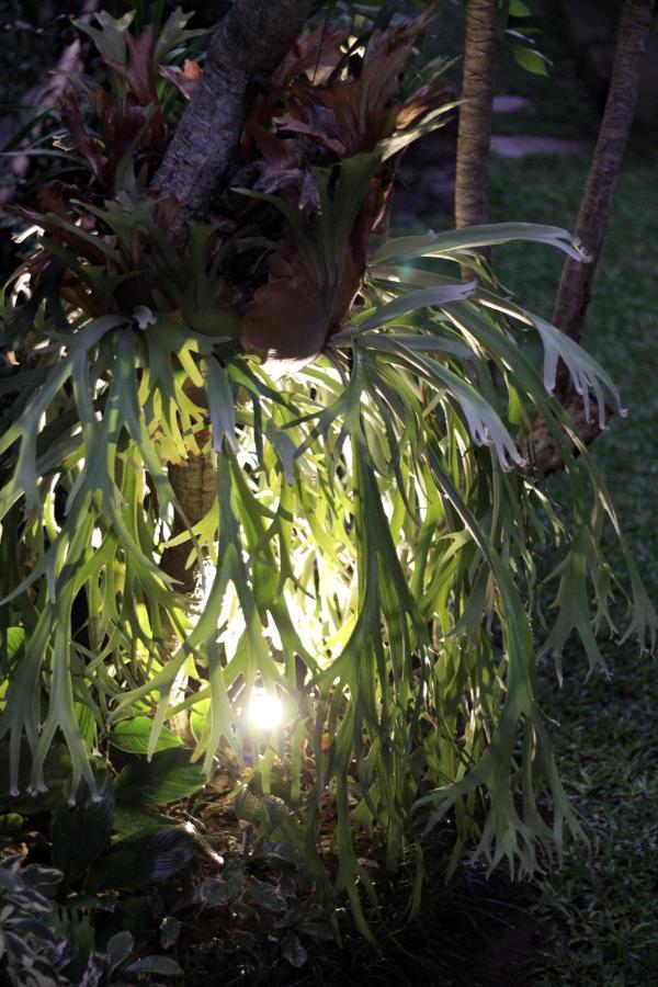 Sari House Ubud - Balinese Style Homestay Bagian luar foto